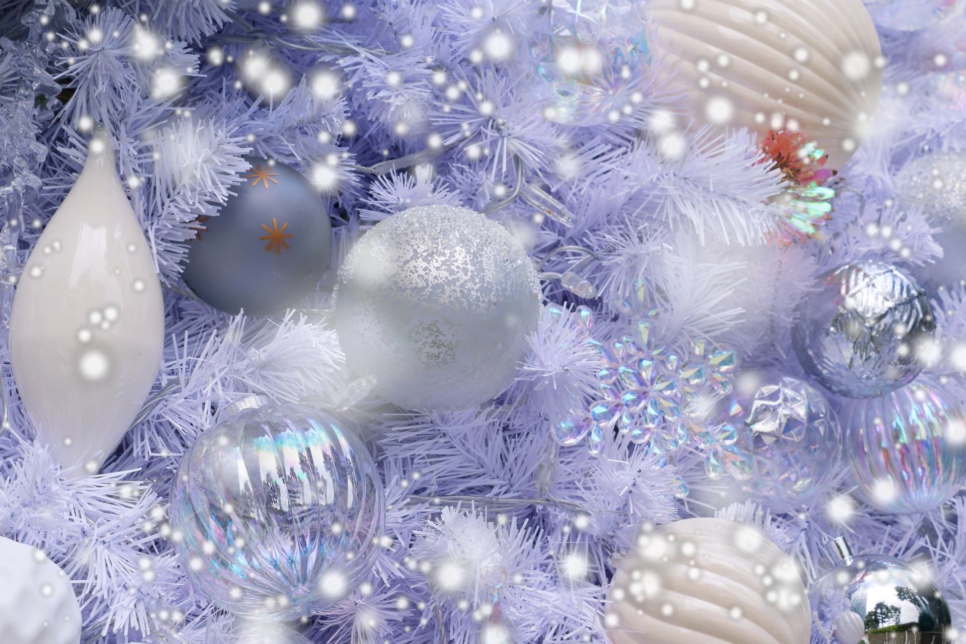 12月店休日とホームページリニューアルのお知らせ